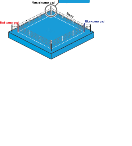 Line drawing of a boxing ring