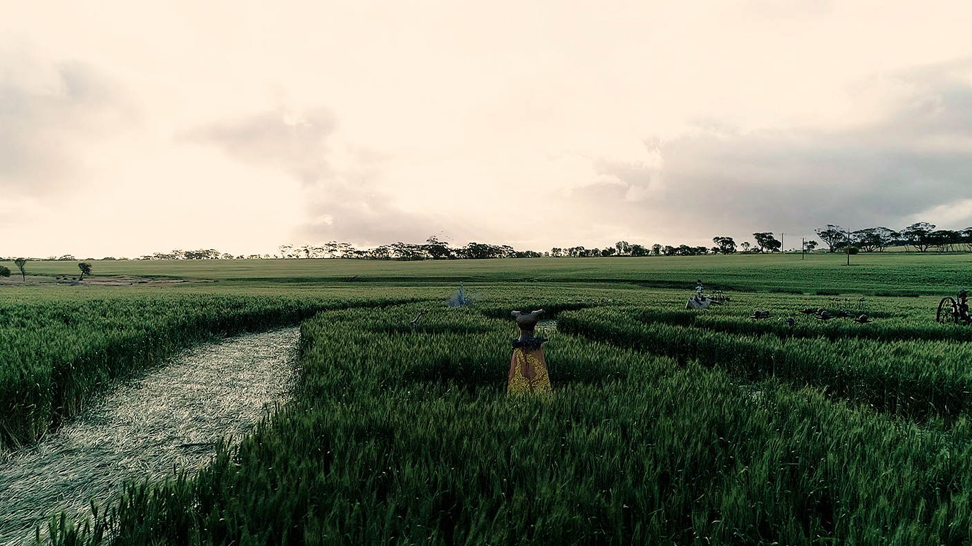 Rushes drone crop circle, Biosphere Boodja Arts and Wild Things Festival Goomalling 2025. Photo Steven Aliyan