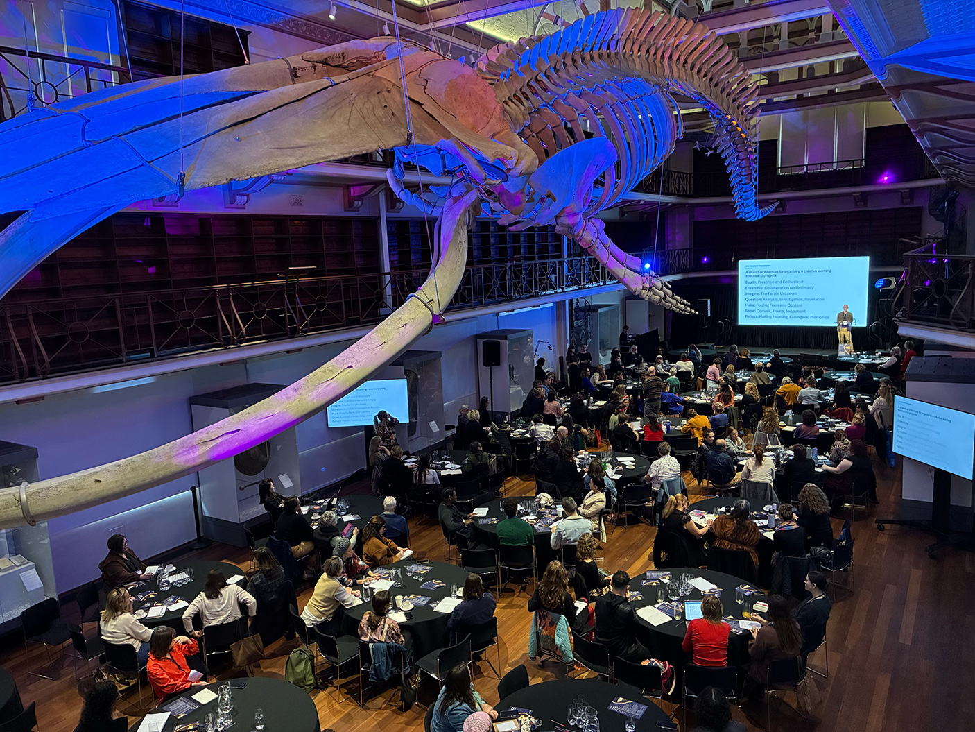 Tables of people at a conference at Boola Bardip (Museum) with a huge whale skeleton hanging from the ceiling