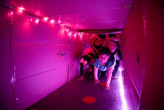 A group of young kids crawling into a cardboard tunnel.
