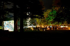 A crowd watching a projection on a screen in a park at night.