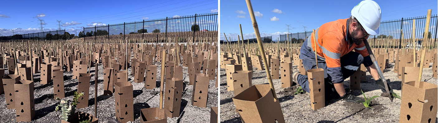 2 images of the planting works at the Perth Film Studios