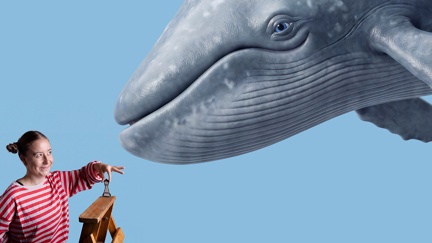 A young lady is standing on a ladder looking upward to a grey whale that is smiling at her.