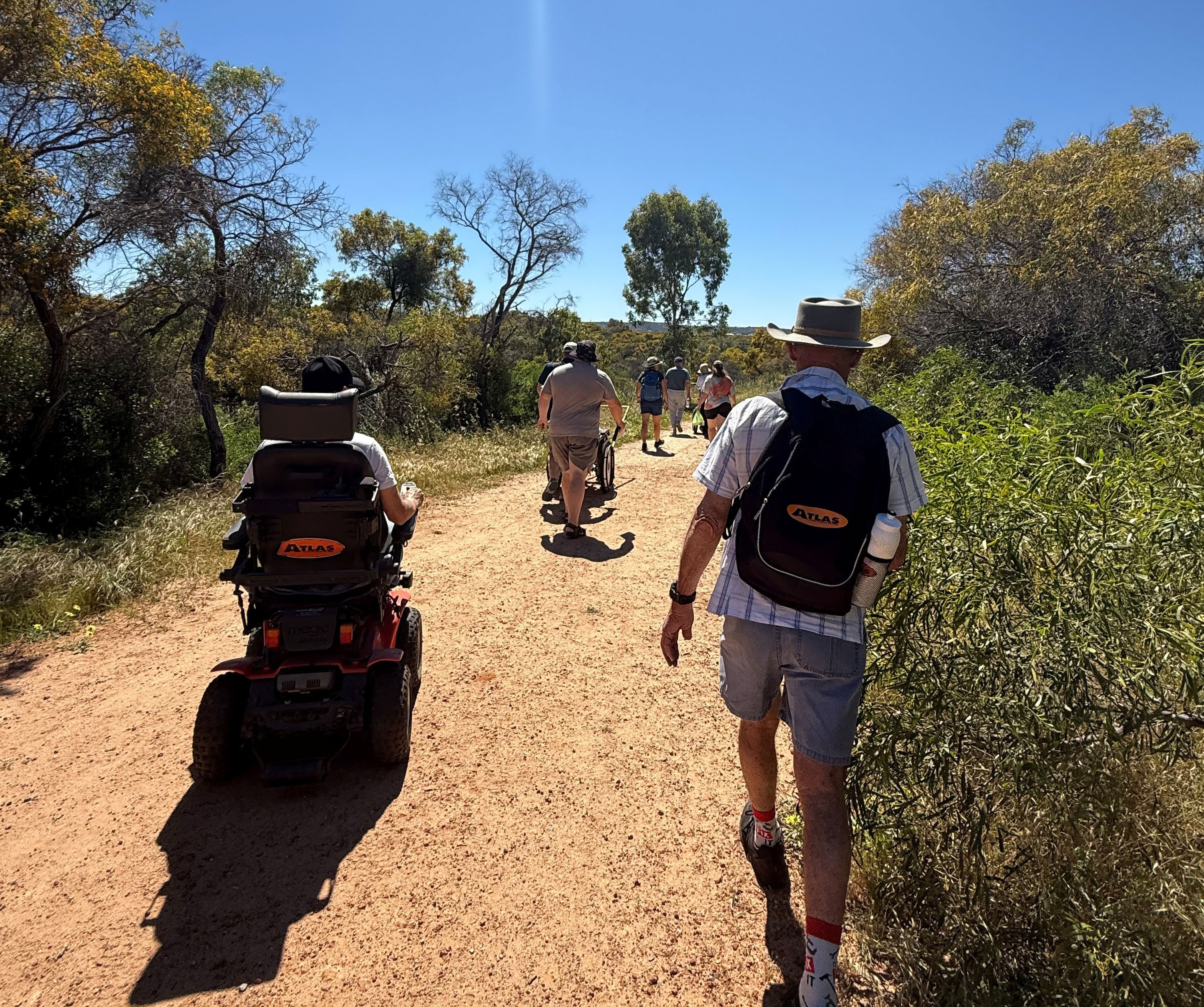A group of people walking and in wheel chairs on a bush walking trail