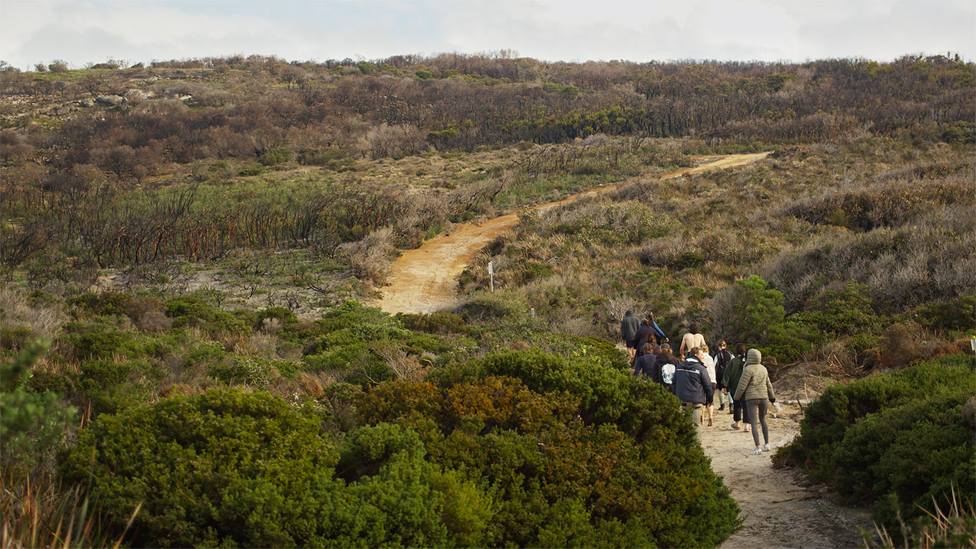 A group of people on a bush walking track
