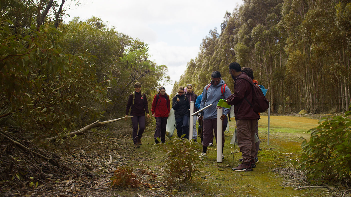 A group of university students in a bushland setting