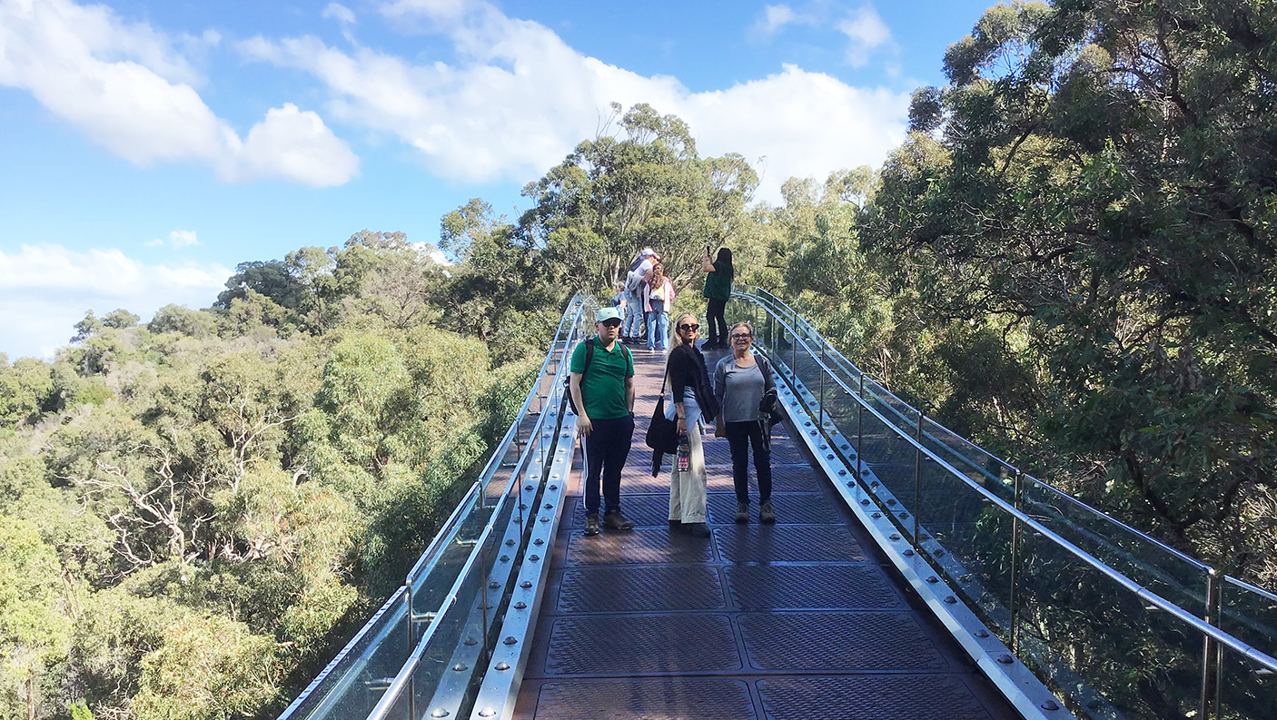 A family on the Lotterywest Federation Walkway in Kings Park