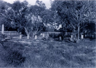 Graves in the cemetery