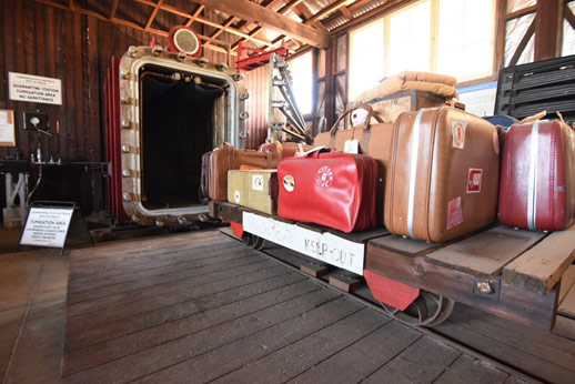 Fumigation chamber with luggage