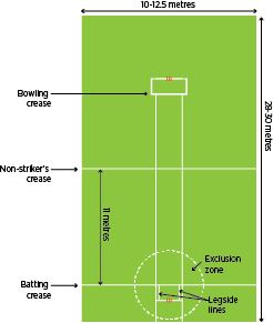 indoor cricket pitch dimensions