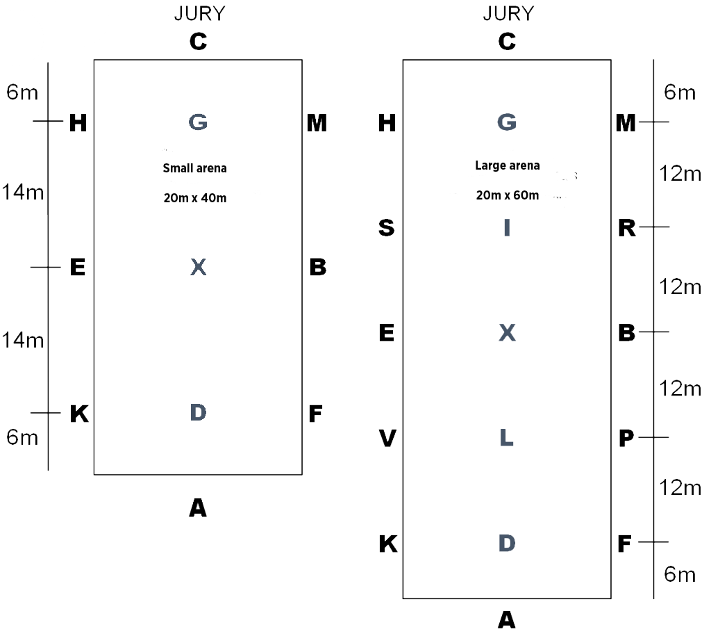 Dressage-small-and-large-arena Dressage small and large arena dimensions
