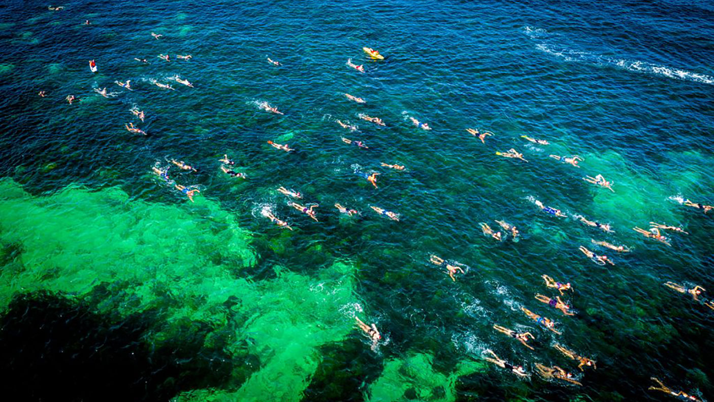 Aerial view of swimmers competing in a ocean swimming race